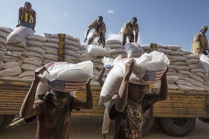 food aid warehouse with bags of grain and pulses