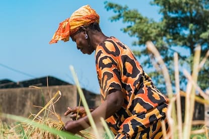 food justice in American neighborhoods