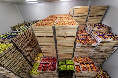 root cellar with stored potatoes and canned food